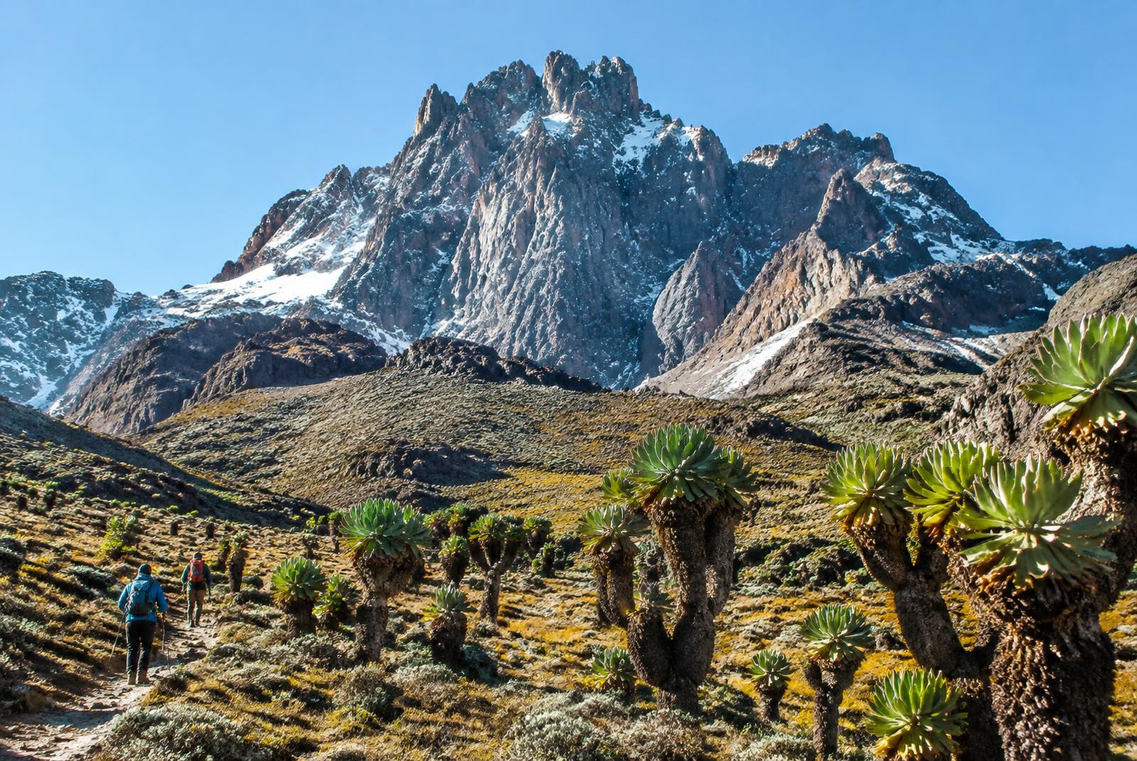 Hikers on Mount Kenya